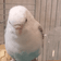 ASASE のプロフィール画像