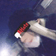 VivienneTV のプロフィール画像