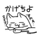 Chiyo のプロフィール画像
