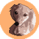tsukumo のプロフィール画像