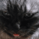 ゆき猫 のプロフィール画像